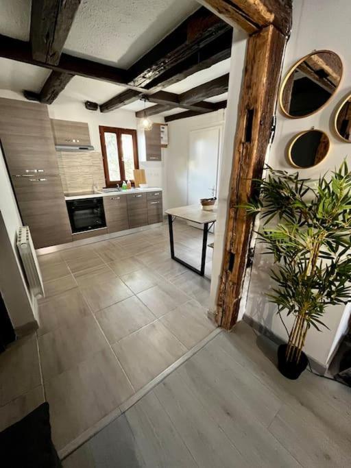 Appartement De Charme Alsacien, Centre Historique 塞莱斯塔 外观 照片