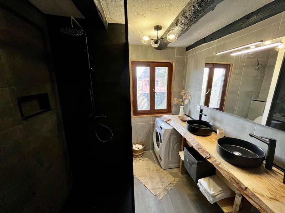 Appartement De Charme Alsacien, Centre Historique 塞莱斯塔 外观 照片