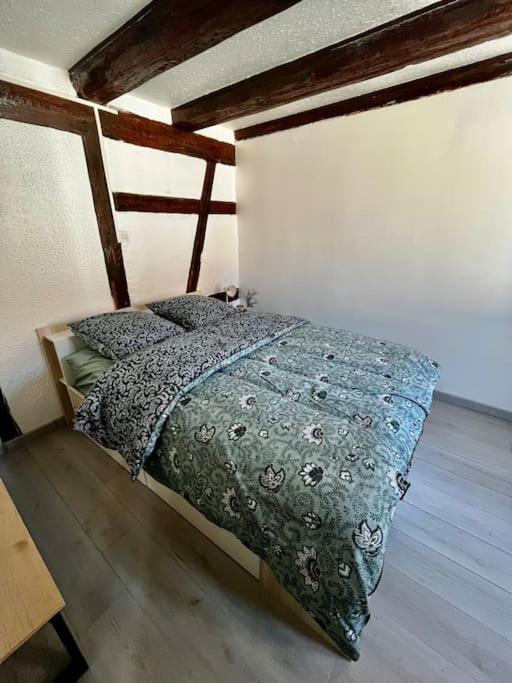 Appartement De Charme Alsacien, Centre Historique 塞莱斯塔 外观 照片