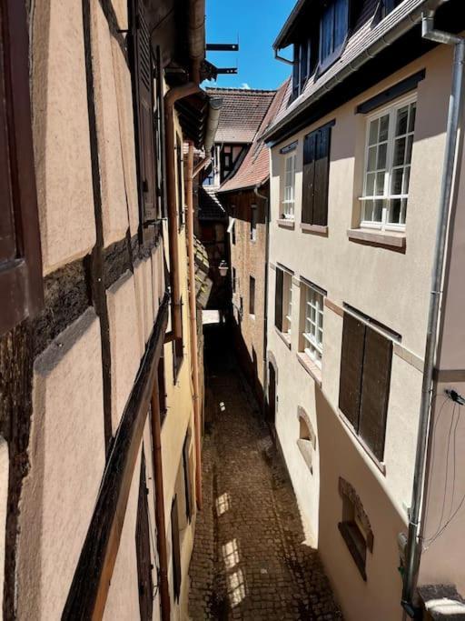 Appartement De Charme Alsacien, Centre Historique 塞莱斯塔 外观 照片